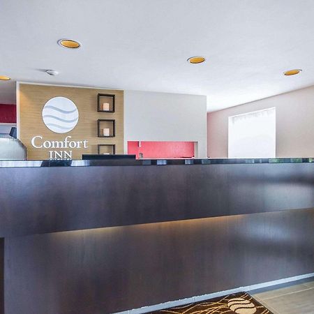 Comfort Inn East Sudbury Exteriér fotografie
